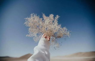 让人心生怜爱的女人 怜爱是爱情的最高境界