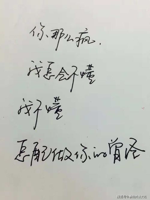 表达对爱情释怀的诗句 放下感情执念的古诗句