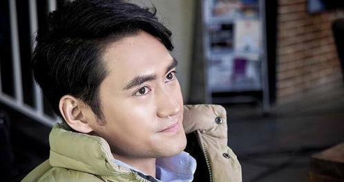 袁弘为什么那么喜欢张歆艺 袁弘为什么会娶二婚的张歆艺