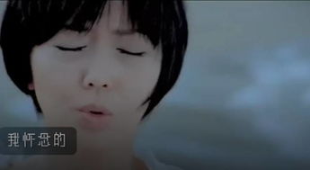 表白萧亚轩歌词 《表白》