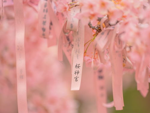 被老公宠的文案短句 老婆发圈老公宠着的句子