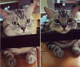 说老公的搞笑句子 说老公的搞笑段子