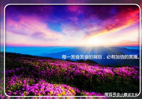 讽刺女人的经典语句 有深度讽刺的句子