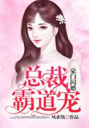 误嫁豪门闪婚老公的小说 闪婚领证老公竟是总裁大人