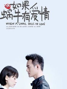 豆瓣评分9.0以上的爱情电视剧 值得看十遍的爱情电视剧