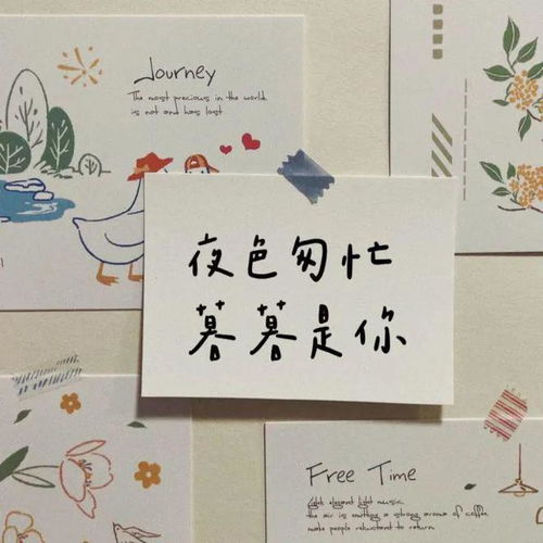 贺卡表白情话 贺卡表白情话20字以内