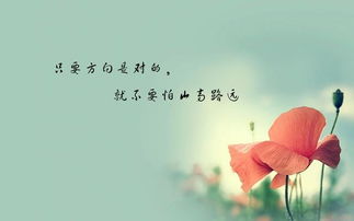 贬低男人的经典语录 损一个男人的简短句子