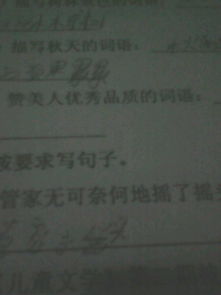 赞美男人的成语大全 称赞一个男人优秀的成语