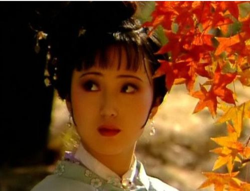 贾宝玉林黛玉的爱情历程 以林黛玉的口吻给贾宝玉写信