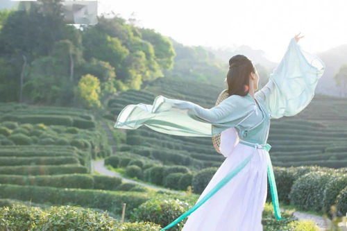 赞美女人气质高雅的成语 夸赞女人端庄大气的词