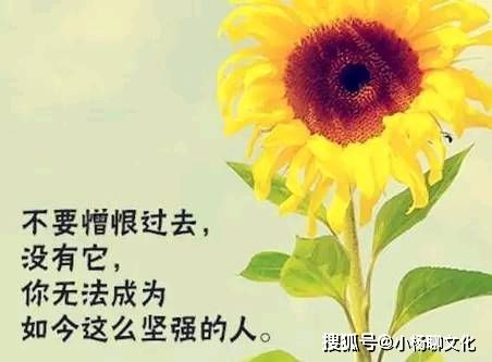 赞美男人能干的句子简短 夸赞男人处理事情的能力句子