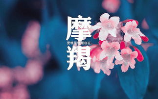 赚钱全给老婆花的星座男 一辈子都疼媳妇的星座男