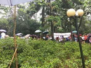 越秀公园相亲角时间及地点 天河公园相亲角周六周日都有吗