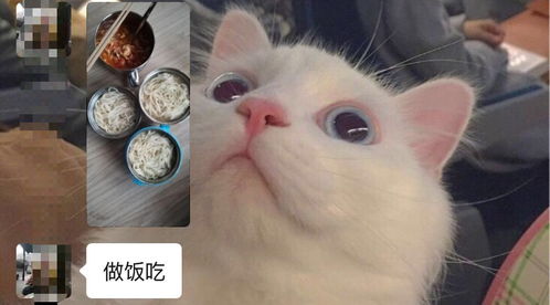 越是憨憨的女生越让人喜欢 男生说女生憨憨的是什么意思