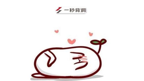 追女朋友怎么追成功 嘴笨怎么追女孩