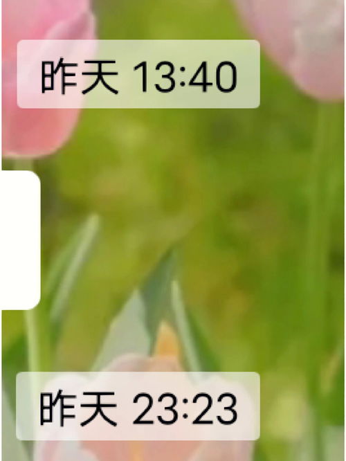 适合发给女朋友的句子 写给女朋友的一大段话