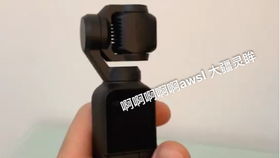 送天秤座女朋友情人节礼物送什么 天秤女喜欢的惊喜礼物