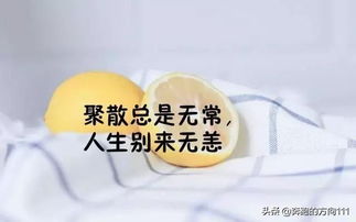 遇见前任的复杂心情句子 与前任再次见面的文案