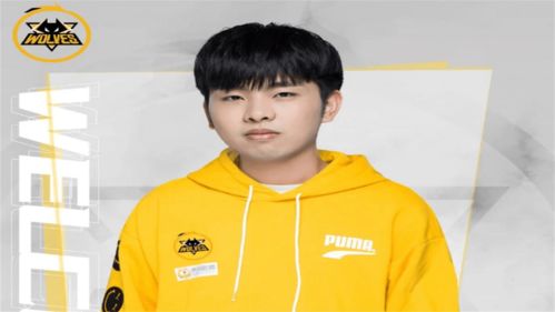 重庆狼队都有女朋友吗 狼队小胖女主照片