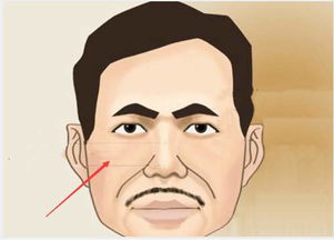 野心大的男人难以驾驭 一个人有野心的面相