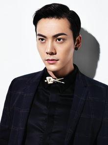 陈伟霆喜欢甜美型的女生吗 韩国评价陈伟霆的颜值