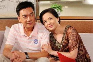 陶慧敏现任老公的照片 陶慧敏老公是谁