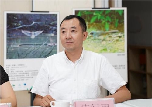 陈行甲妻子简介 陈行甲与妻子的感情纠葛