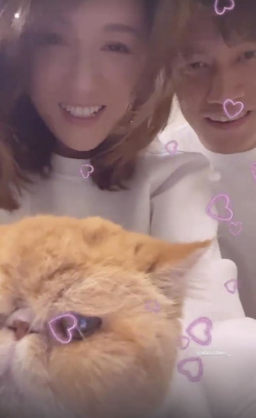 陈乔恩老公艾伦简介 陈乔恩一家三口照