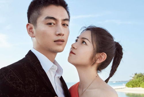 陈晓谈妻子儿子 陈晓的妻子比他大几岁