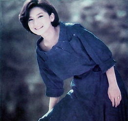 陈淑桦的感情经历 上海街头陈淑桦现状视频