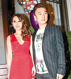 陈山聪老婆有钱吗 何超云陈山聪为什么分手