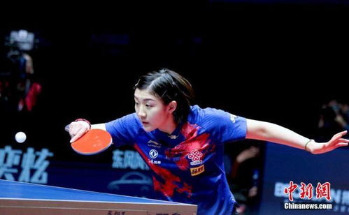 陈梦老公个人资料 陈梦个人资产多少亿