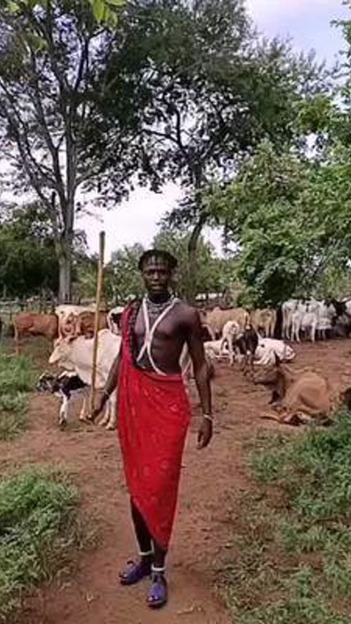 阆中放牛娃老婆的照片 阆中猛哥的儿子