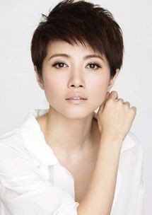 颜丙燕现任老公丈夫 颜丙燕结过婚吗