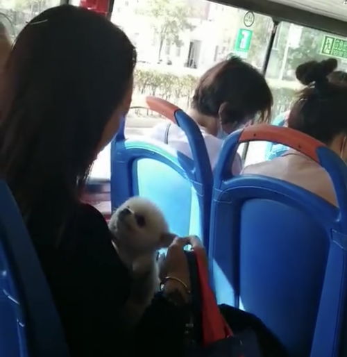 骂一个女人是公交车的句子 骂女人是破鞋的经典诗句