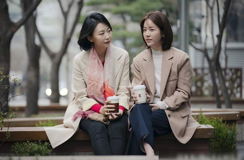 韩国爱情电视剧免费观看 最近新韩国免费观看大全