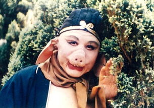 马德华妻子是嫦娥吗 马德华与西游记的缘分