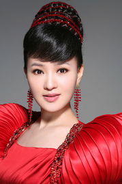 雷佳的三段感情 雷佳的第二任丈夫