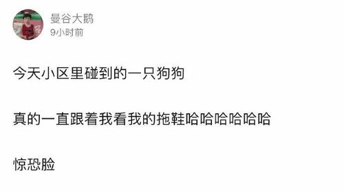 高情商回复老公辛苦了 辛苦了,下一句该怎么回