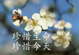 鼓励老公创业的暖心句子 激励人心的经典语句