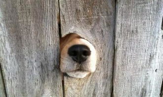 偷偷观察你的男人什么心态 暗中观察你的男人说明什么