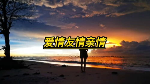 亲情爱情友情五种情 世界上有五种情