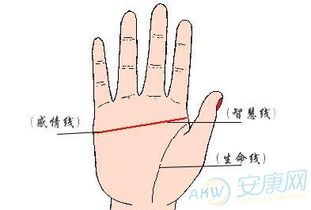 断掌的女人戴什么可以破解(女子断掌化解方法)