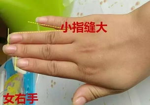 断掌纹的女人怎么化解(断掌纹的女人命运怎么样 断掌纹的女人怎么化解)