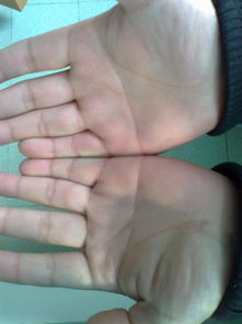 断掌的男人是什么命(双手断掌的男人命运)