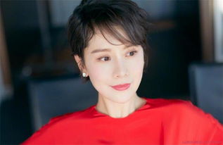 海清的老公是干什么的(海清的现任丈夫)