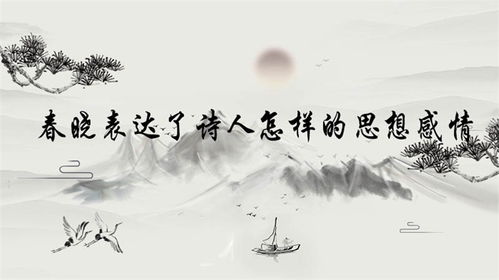 春晓描写作者什么感情(《春晓》表达了什么情感)
