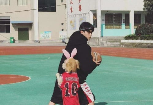 敢打架的男生有魅力吗(女孩子会喜欢爱打架的男生吗)