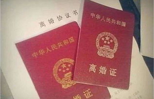 朝阳离婚在哪办理(北京市朝阳区办理离婚证在哪)