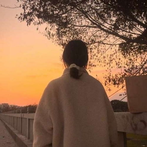 暗恋的人不喜欢自己还要继续吗(如果你知道你喜欢的那个人不喜欢自己,还要继续吗)